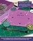 The Quilted Bear Pentagon Quilting Templates – 8 Clear Non-Slip Acrylic Quilt Templates for Precise Fabric Cutting & Stress-Free Machine Quilting - Ideal for Quilt & Sewing Supplies (¾–3")